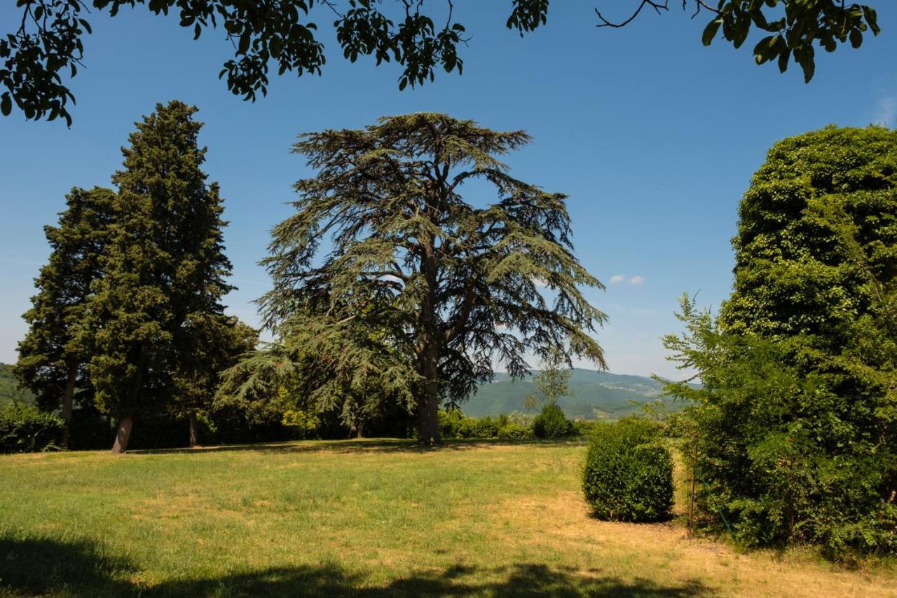 Agriturismo Fattoria Lavacchio Pontassieve Exterior foto