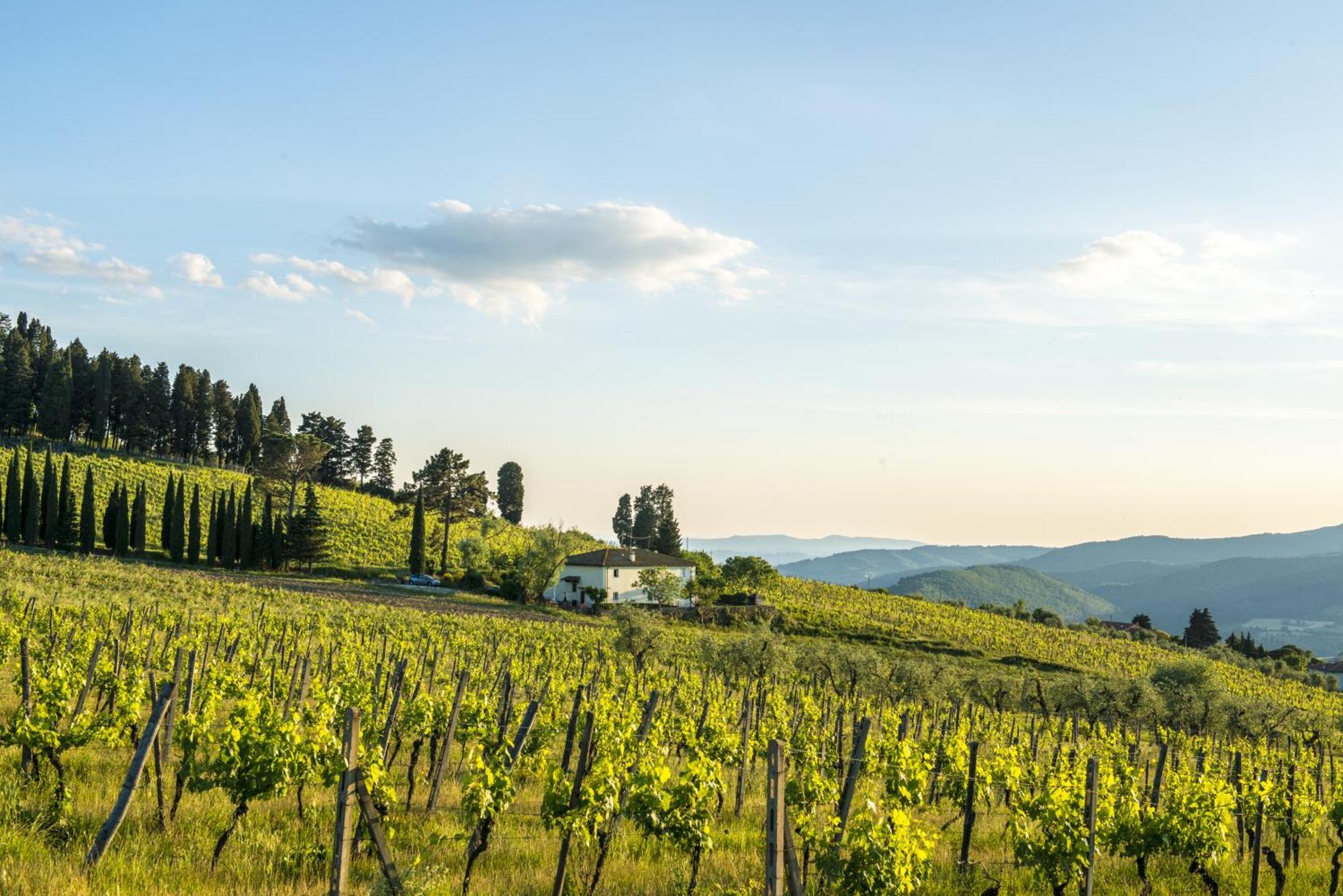 Agriturismo Fattoria Lavacchio Pontassieve Cameră foto