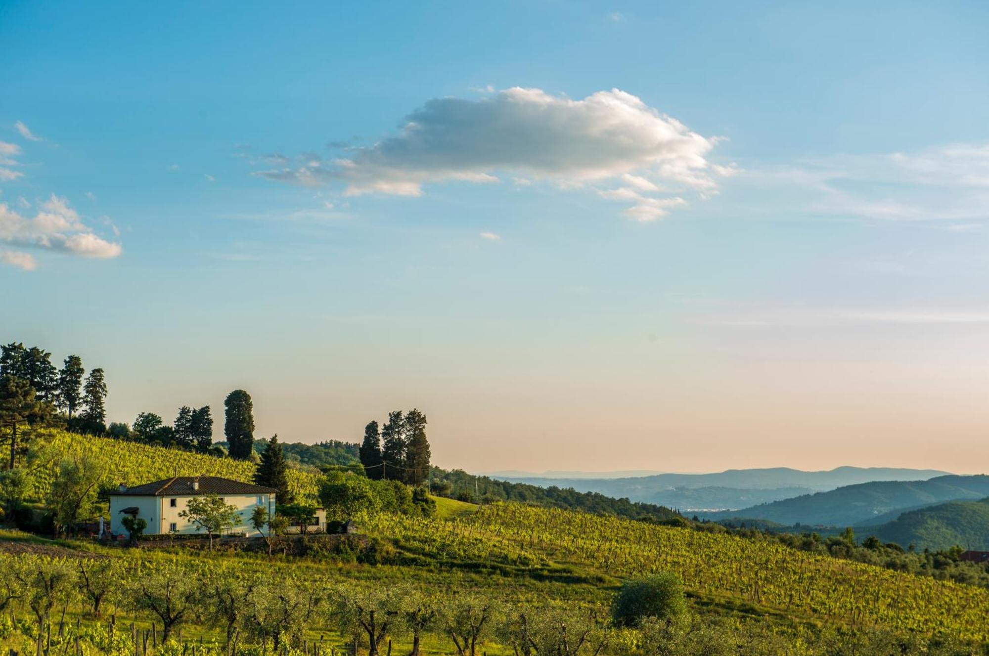 Agriturismo Fattoria Lavacchio Pontassieve Cameră foto